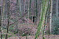 DSC02917 - Bernhard Saalfeld