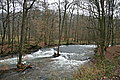 DSC02922 - Bernhard Saalfeld