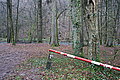DSC02924 - Bernhard Saalfeld