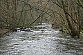 DSC02926 - Bernhard Saalfeld