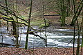 DSC02928 - Bernhard Saalfeld