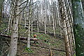 DSC02930 - Bernhard Saalfeld