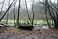 DSC02932 - Bernhard Saalfeld