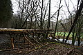 DSC02934 - Bernhard Saalfeld