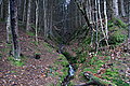 DSC02939 - Bernhard Saalfeld