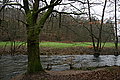 DSC02940 - Bernhard Saalfeld