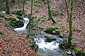 DSC02942 - Bernhard Saalfeld