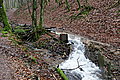 DSC02944 - Bernhard Saalfeld