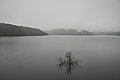 DSC02950 - Bernhard Saalfeld