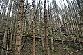 DSC02971 - Bernhard Saalfeld