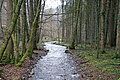 DSC02972 - Bernhard Saalfeld