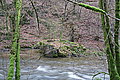 DSC02978 - Bernhard Saalfeld