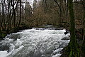 DSC02980 - Bernhard Saalfeld