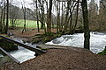 DSC02981 - Bernhard Saalfeld