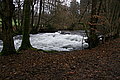 DSC02982 - Bernhard Saalfeld
