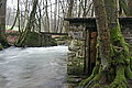 DSC02984 - Bernhard Saalfeld