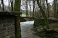 DSC02986 - Bernhard Saalfeld