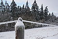 DSC00026 - Bernhard Saalfeld