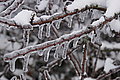 DSC00027 - Bernhard Saalfeld