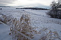 DSC00028 - Bernhard Saalfeld