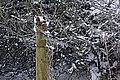 DSC00042 - Bernhard Saalfeld