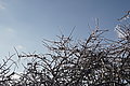 DSC00054 - Bernhard Saalfeld