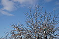 DSC00055 - Bernhard Saalfeld