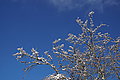 DSC00056 - Bernhard Saalfeld