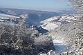 DSC00058 - Bernhard Saalfeld