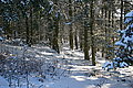 DSC00060 - Bernhard Saalfeld