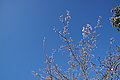 DSC00065 - Bernhard Saalfeld