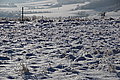 DSC00066 - Bernhard Saalfeld