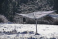 DSC00067 - Bernhard Saalfeld