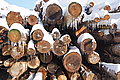 DSC00071 - Bernhard Saalfeld