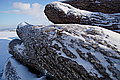 DSC00073 - Bernhard Saalfeld