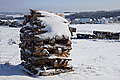 DSC00077 - Bernhard Saalfeld