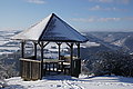 DSC00079 - Bernhard Saalfeld