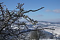 DSC00088 - Bernhard Saalfeld