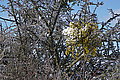 DSC00093 - Bernhard Saalfeld