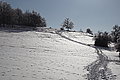 DSC00096 - Bernhard Saalfeld