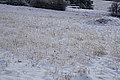 DSC00097 - Bernhard Saalfeld