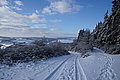 DSC00098 - Bernhard Saalfeld
