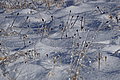 DSC00099 - Bernhard Saalfeld