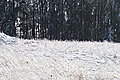 DSC00105 - Bernhard Saalfeld