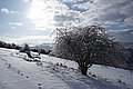 DSC00107 - Bernhard Saalfeld