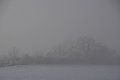DSC00112 - Bernhard Saalfeld