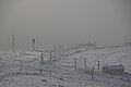 DSC00113 - Bernhard Saalfeld