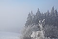 DSC00115 - Bernhard Saalfeld