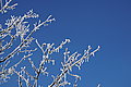 DSC00117 - Bernhard Saalfeld