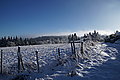 DSC00125 - Bernhard Saalfeld